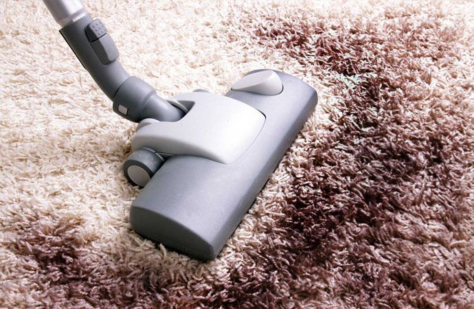 professional carpet cleaning