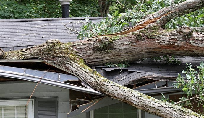 Roof Damage from Storm