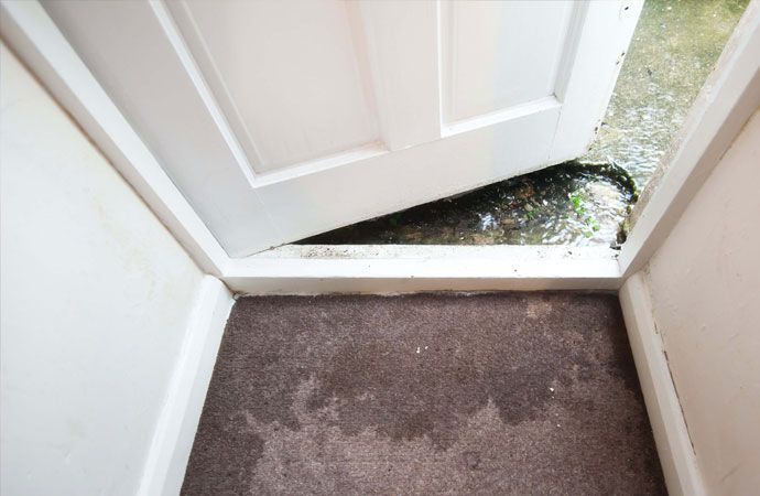 sewer damage