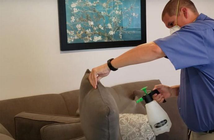 upholstery cleaning 2