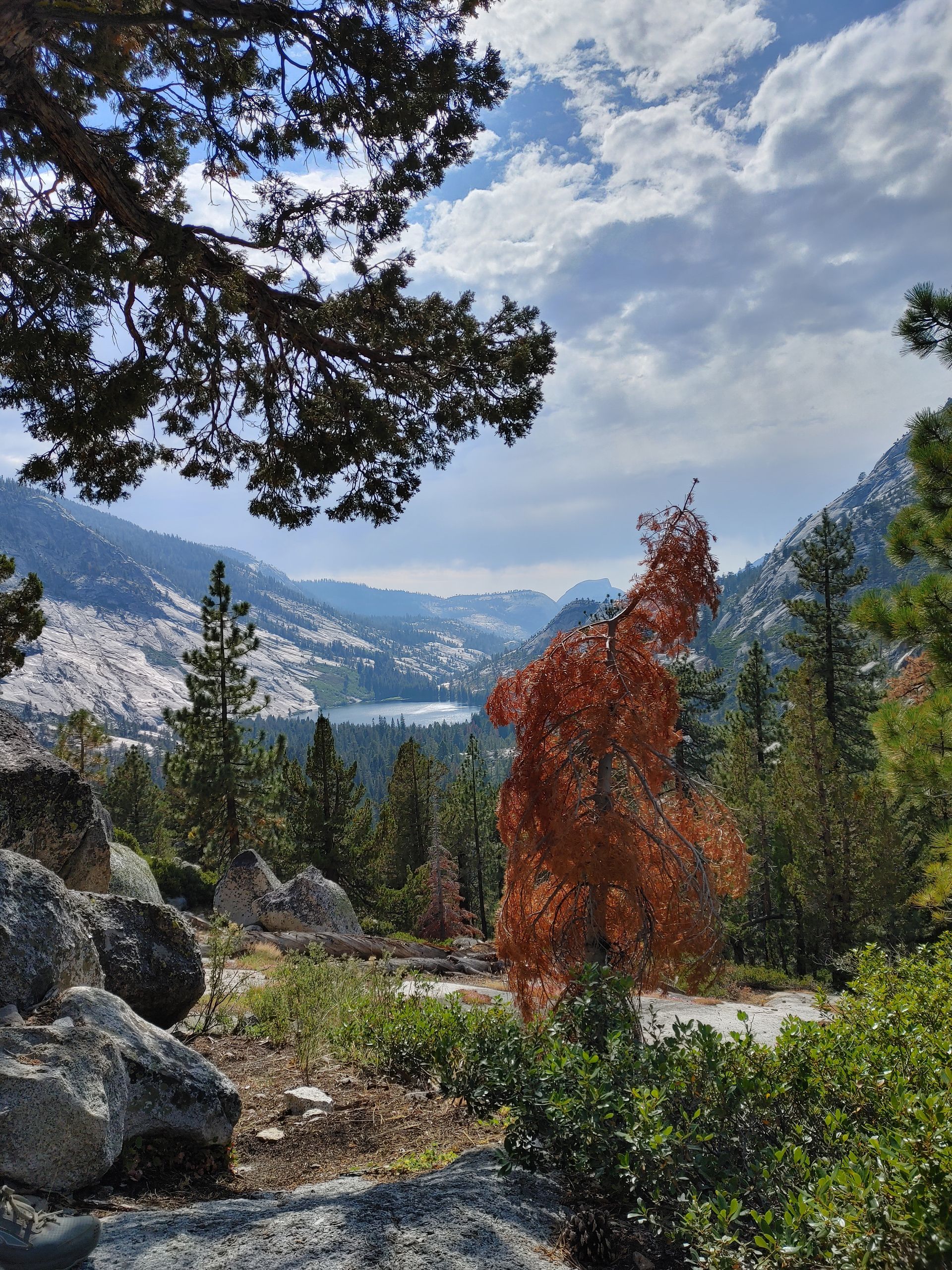 A view of a mountain valley with trees and rocks
