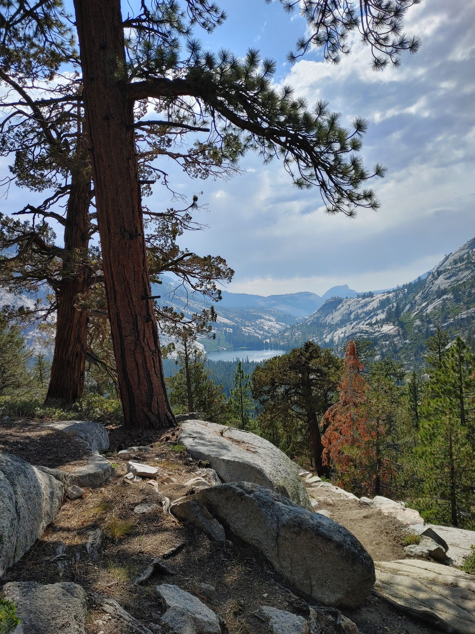 A view of a lake surrounded by trees and rocks