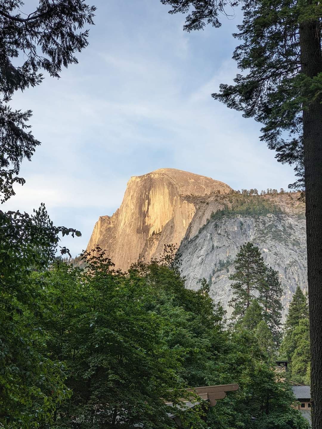A view of a mountain surrounded by trees and houses