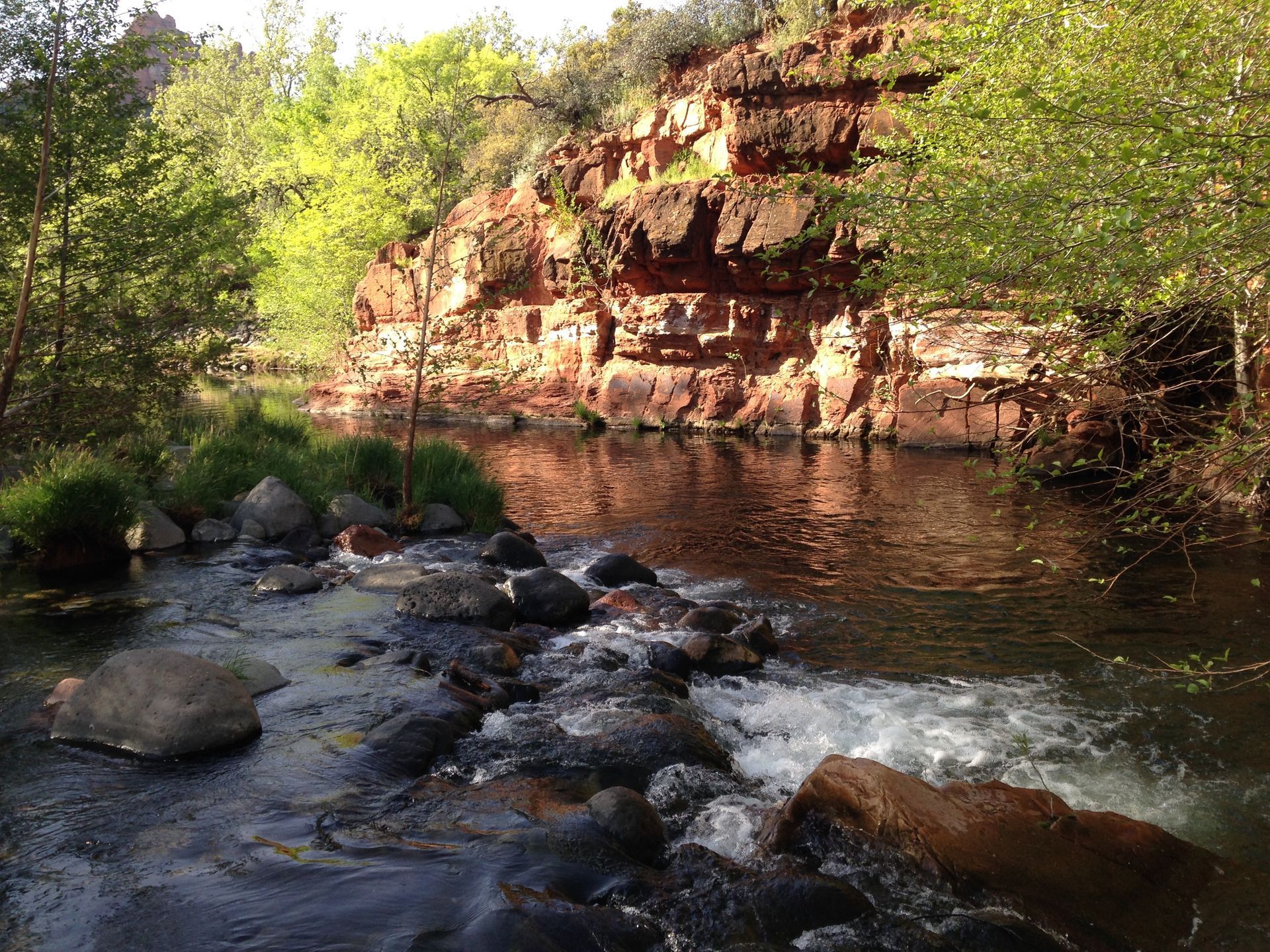 A river flowing through a lush green forest with a rocky cliff in the background.