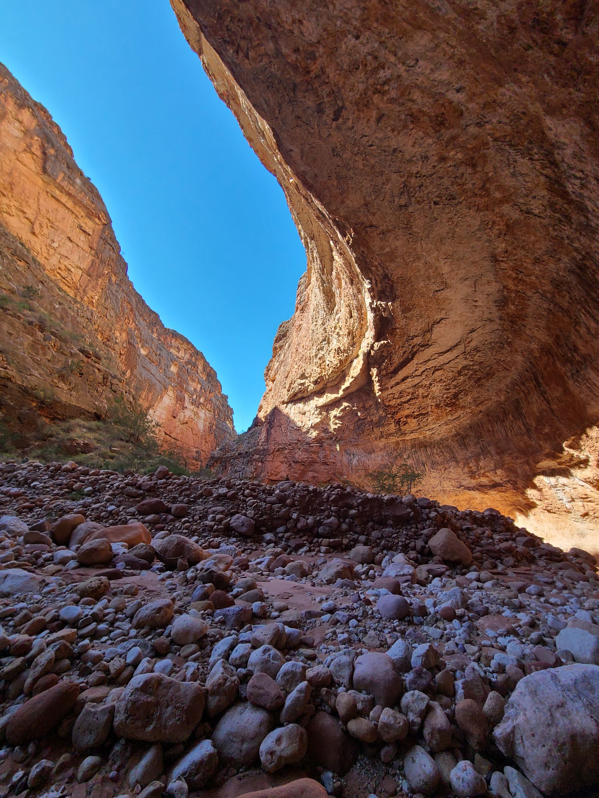 A rocky canyon with a blue sky in the background