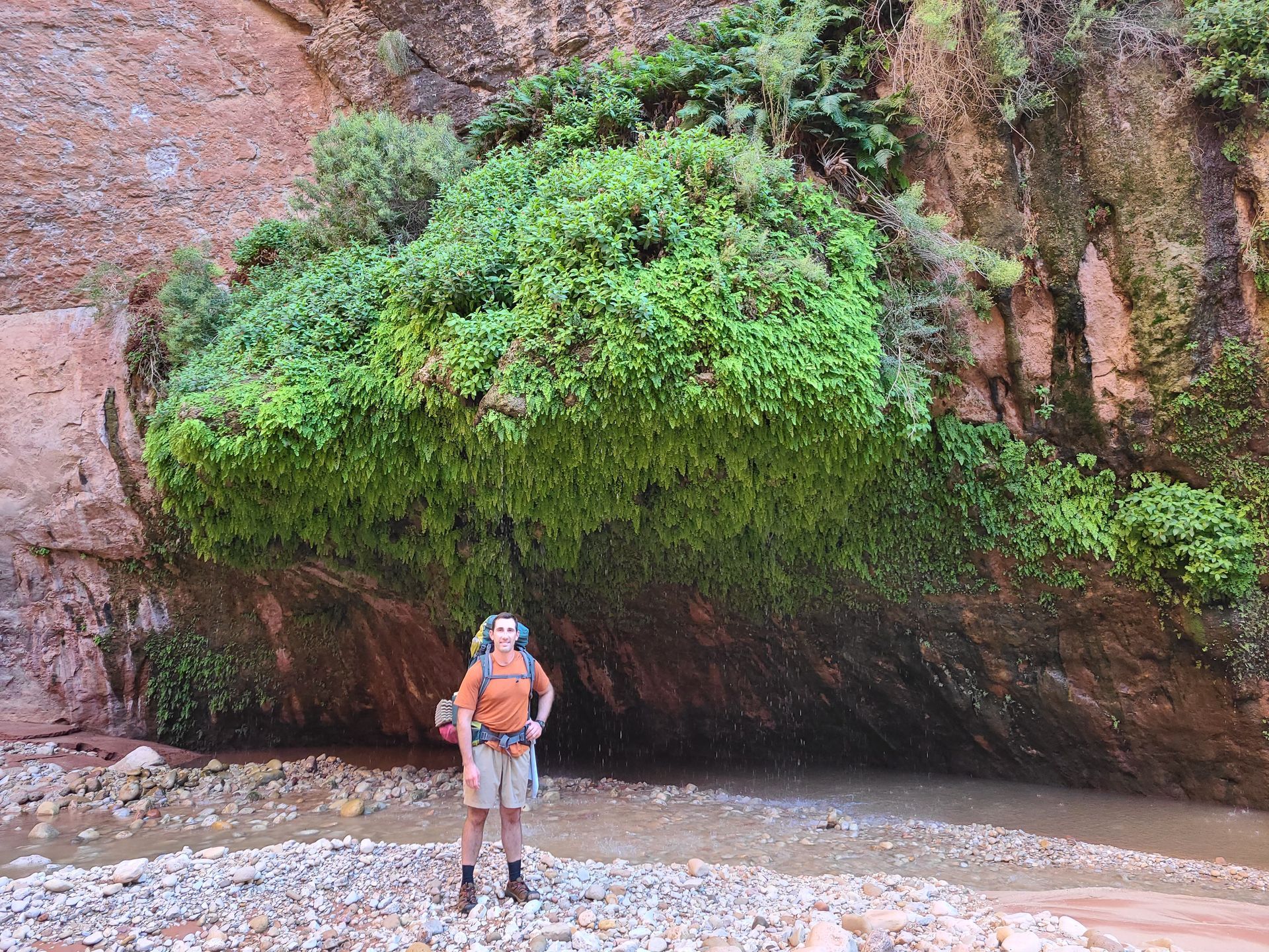 A man with a backpack is standing in front of a large tree.
