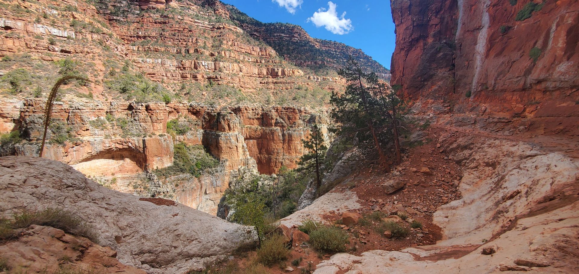 A canyon with a river running through it and mountains in the background.