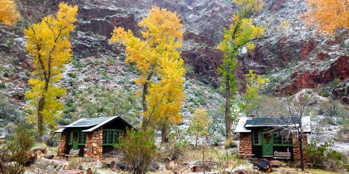 A couple of houses sitting next to each other in the middle of a forest.