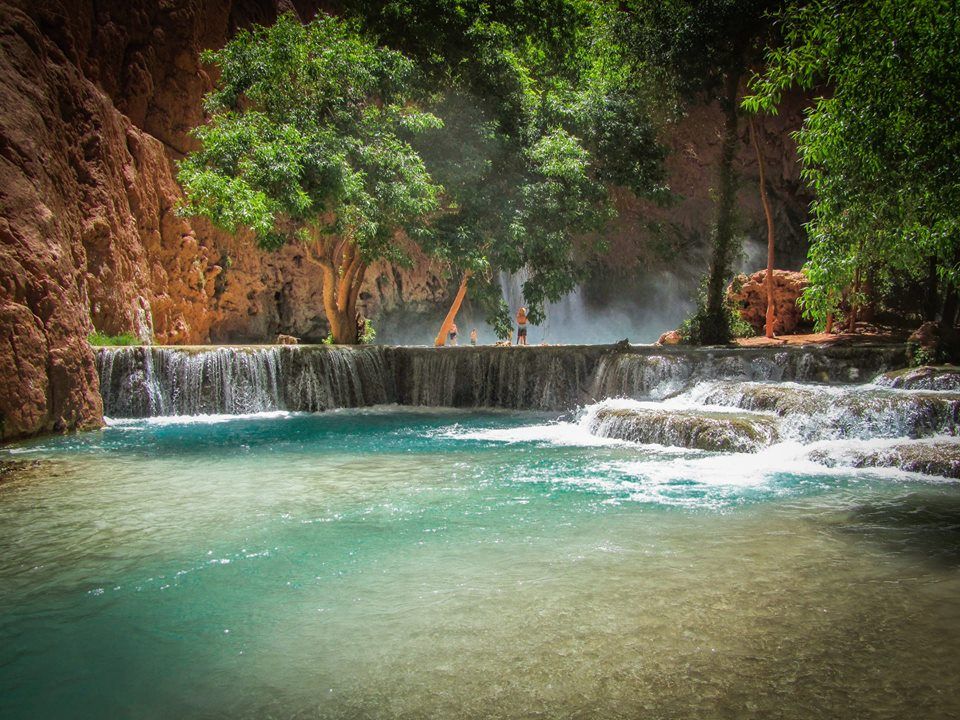 A waterfall in the middle of a lush green forest surrounded by trees.