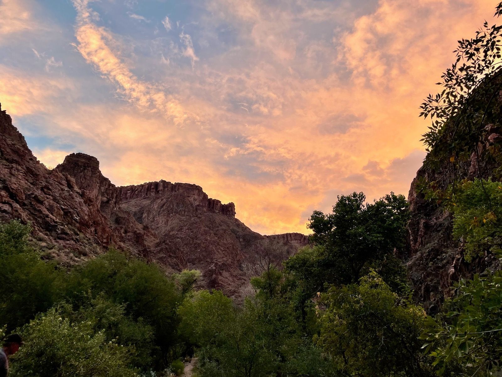 A sunset over a canyon with trees and mountains in the background