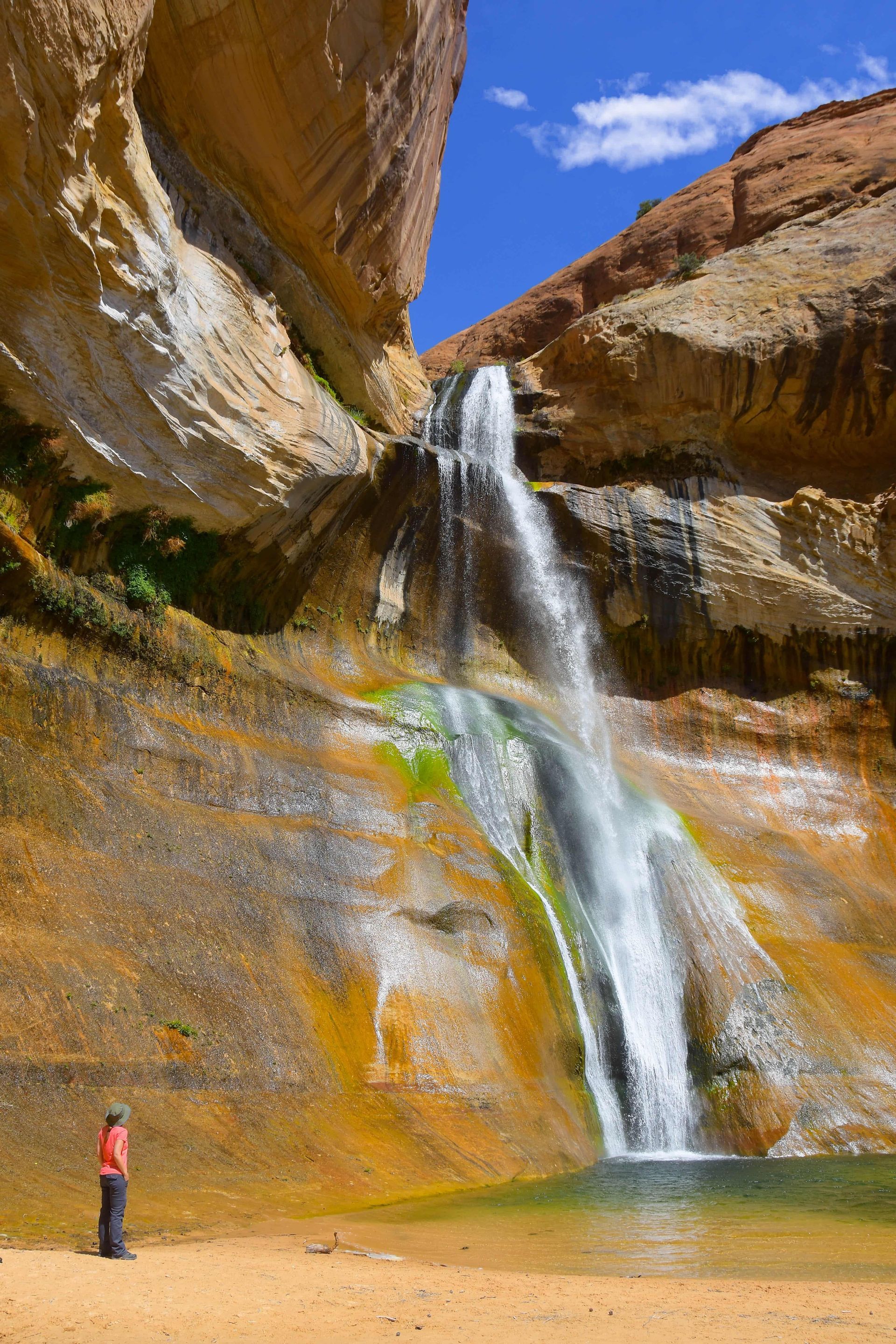 A waterfall is surrounded by rocks and trees on a sunny day