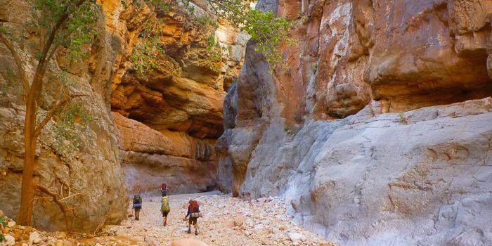 A group of people are walking through a canyon.