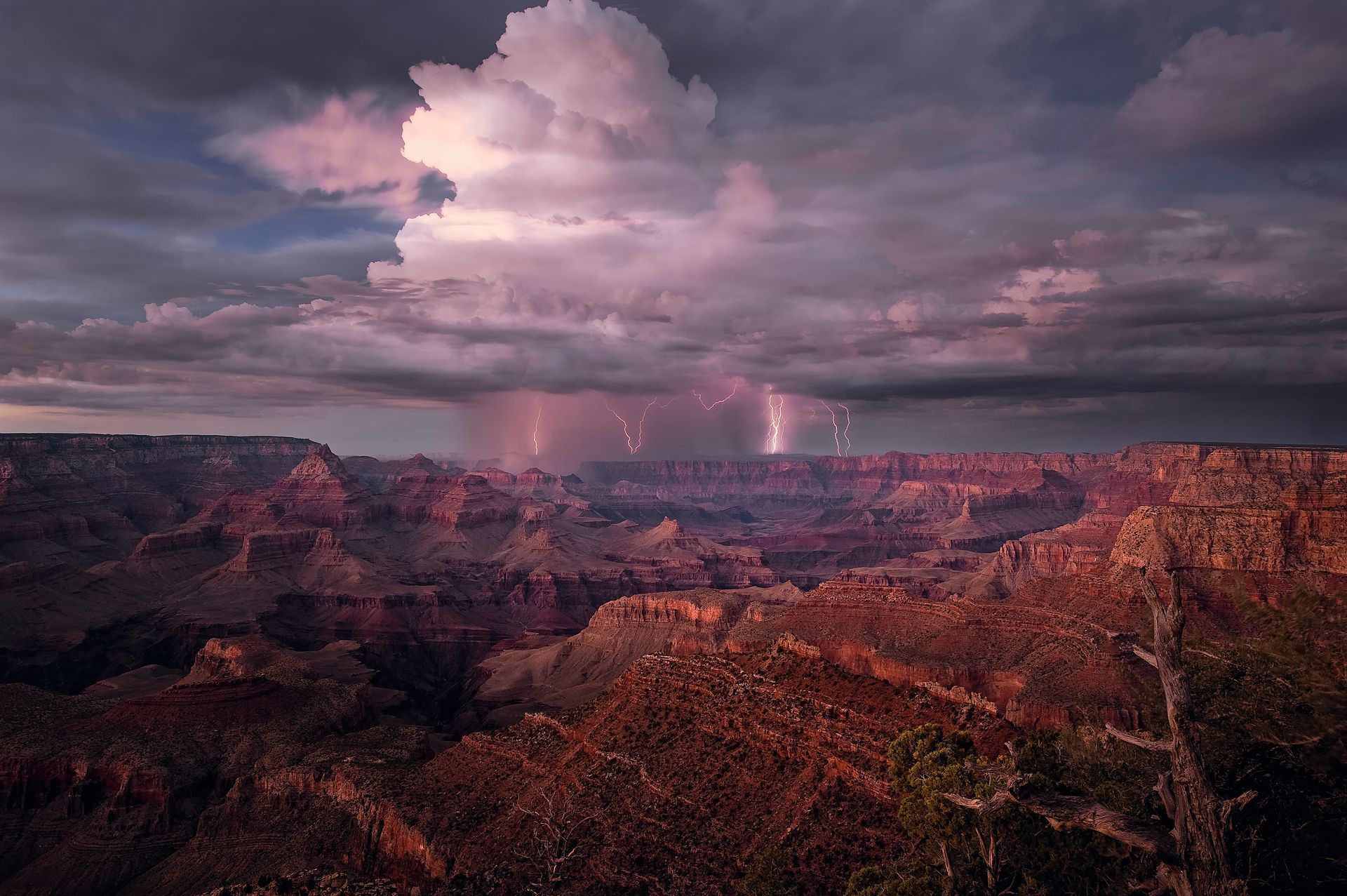 Lightning storm over the Grand Canyon during monsoon season.