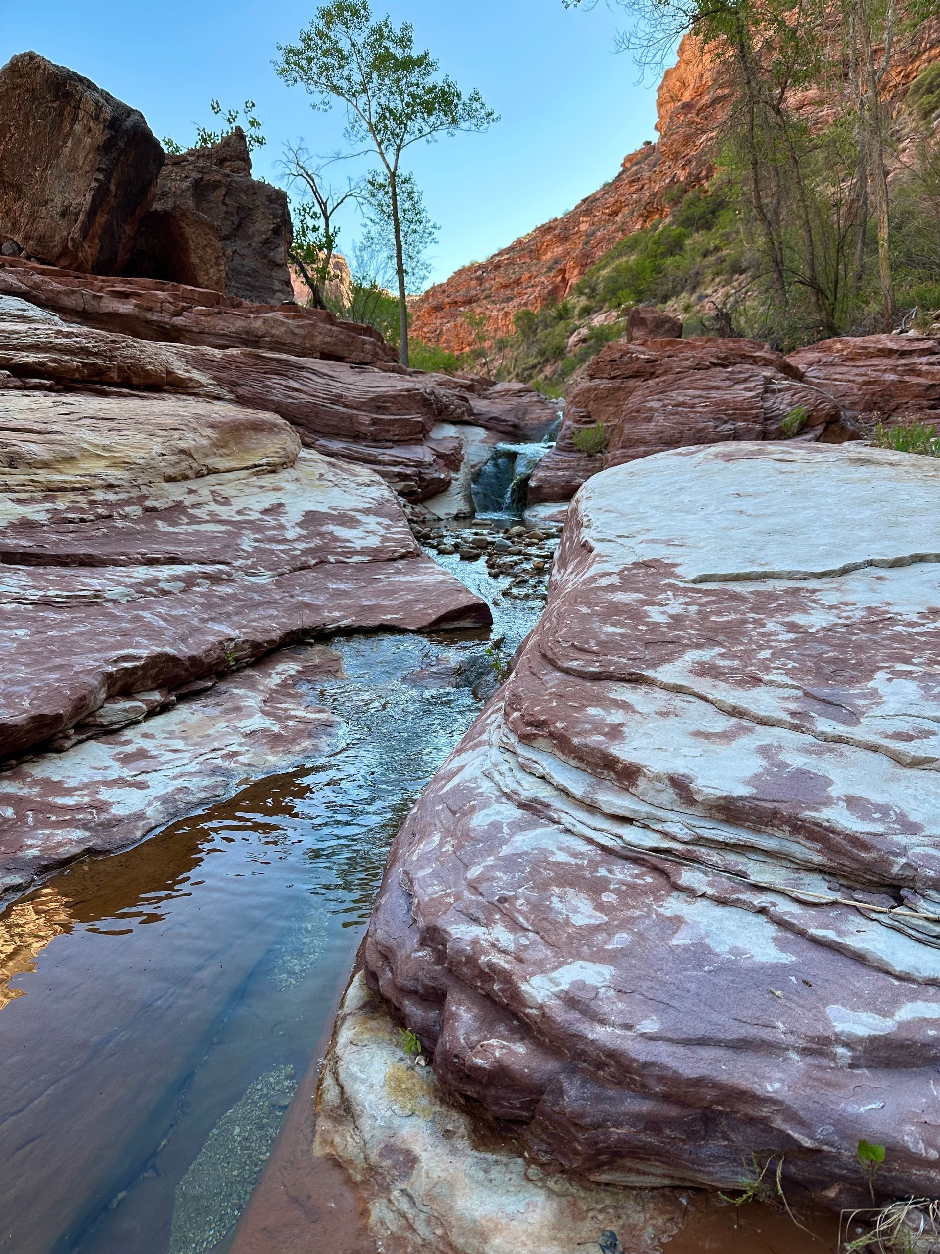 Stream flowing through red rock canyon.