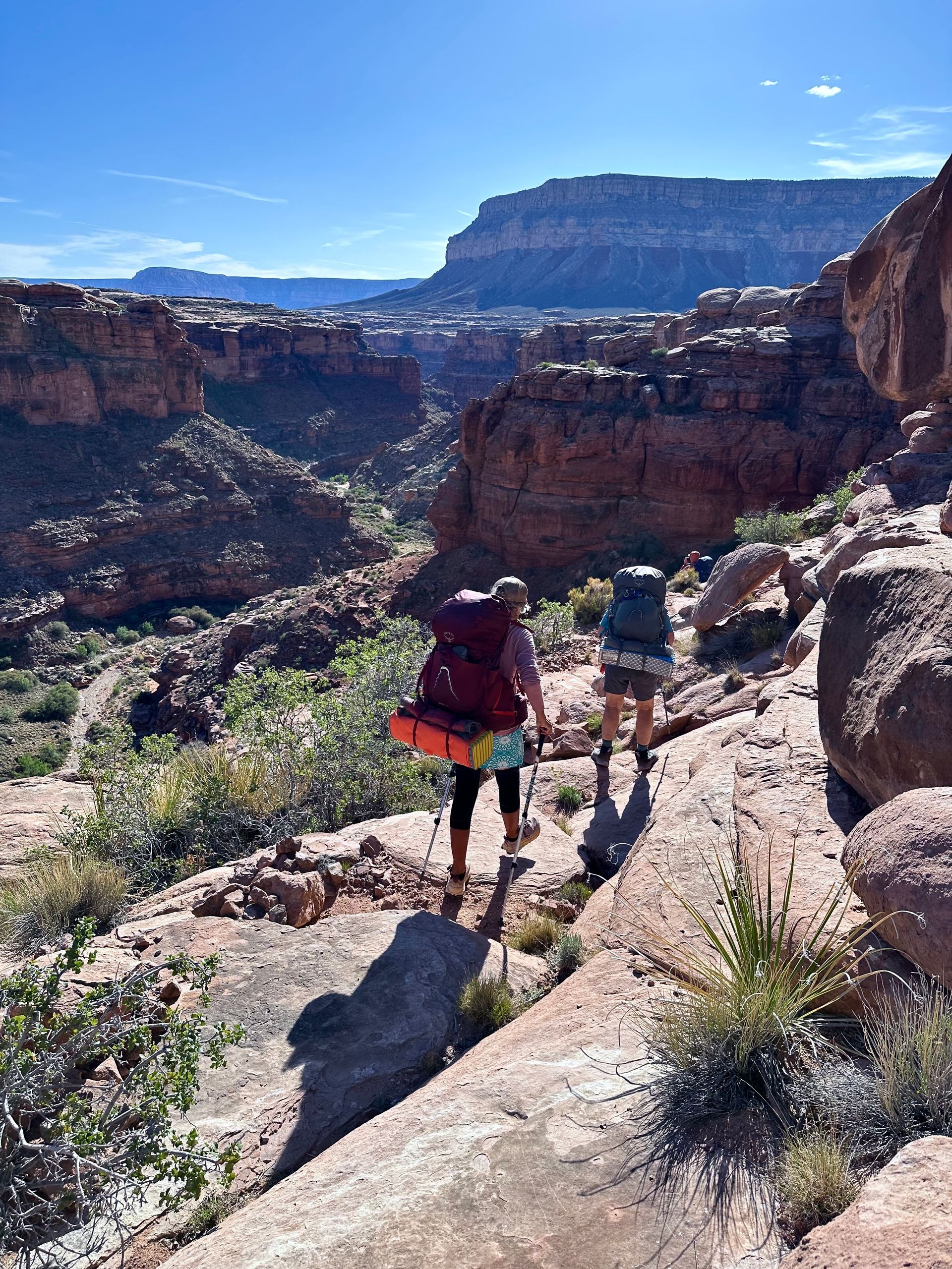 Two hikers with backpacks ascend a rocky trail in a canyon under a blue sky.