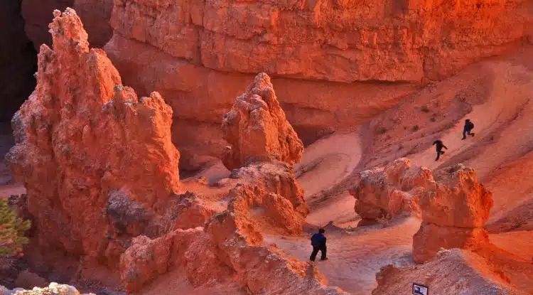 A group of people are walking through a canyon in the desert.