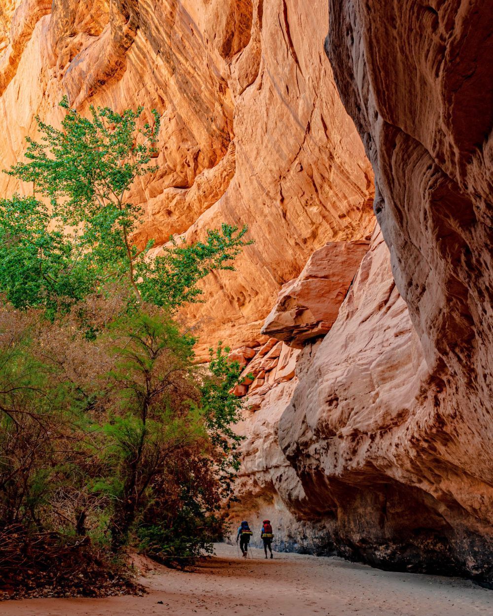 A large rock formation in the middle of a desert