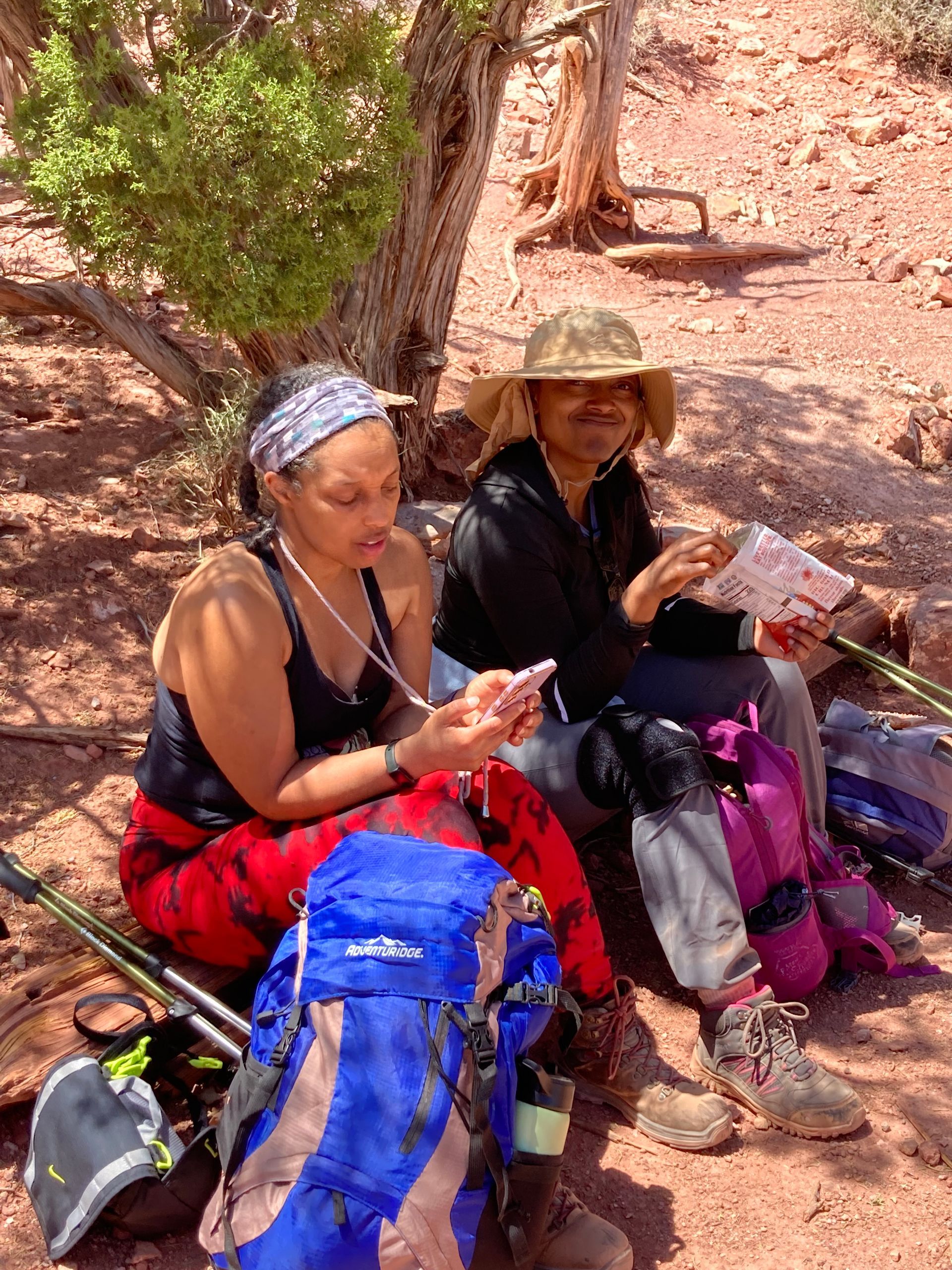 Two hikers rest under a tree, looking at a phone and map. Red and blue backpacks are visible.