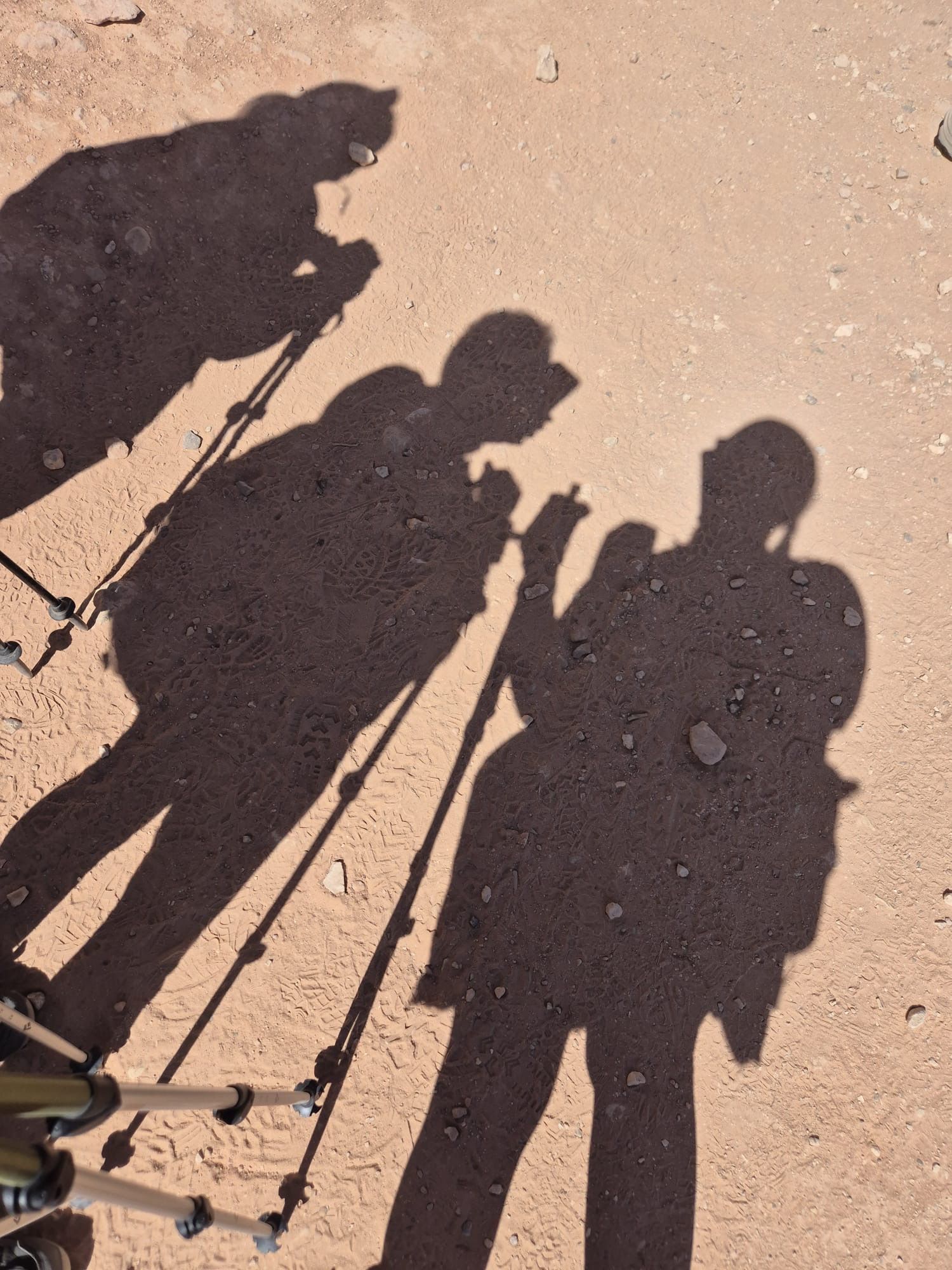 Shadows of three hikers on a dusty path, each using trekking poles, sunny conditions.