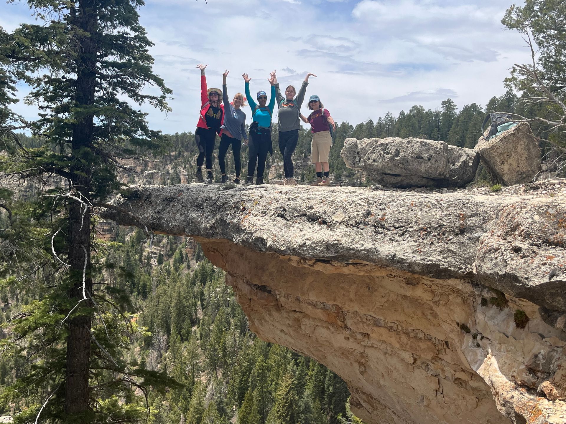 Group of people on a cliff edge, arms raised, overlooking a canyon.