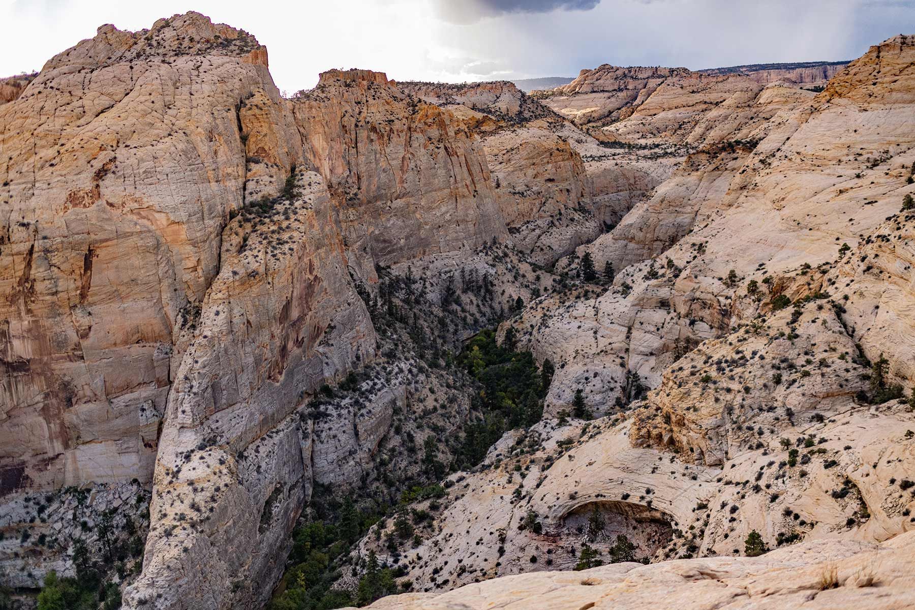 A canyon with a lot of rocks and trees on it
