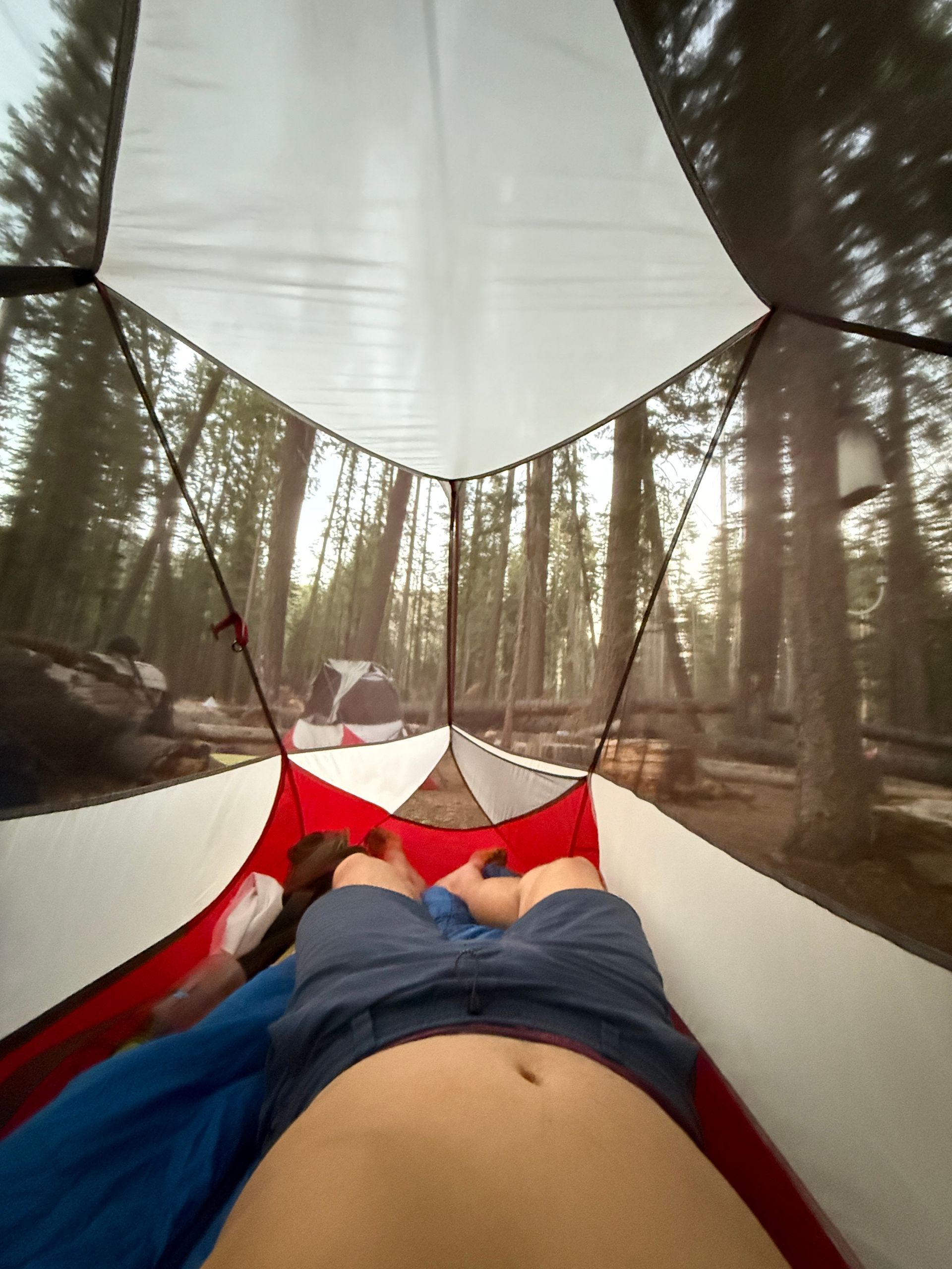 Person lying in a red and white tent, looking out at a forest campsite.