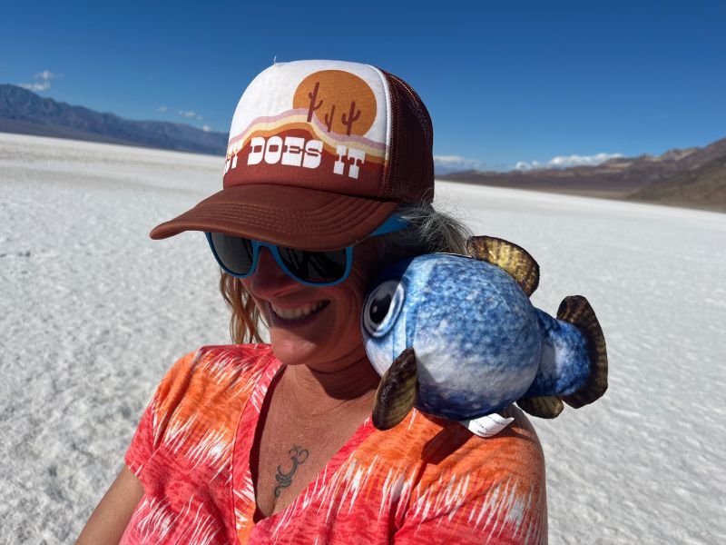 A Man With a Backpack is Walking Down a Trail in the Mountains
