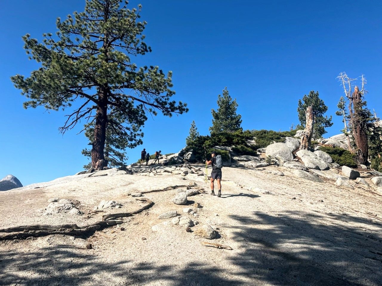 Hiker on a rocky trail with pine trees against a bright blue sky.