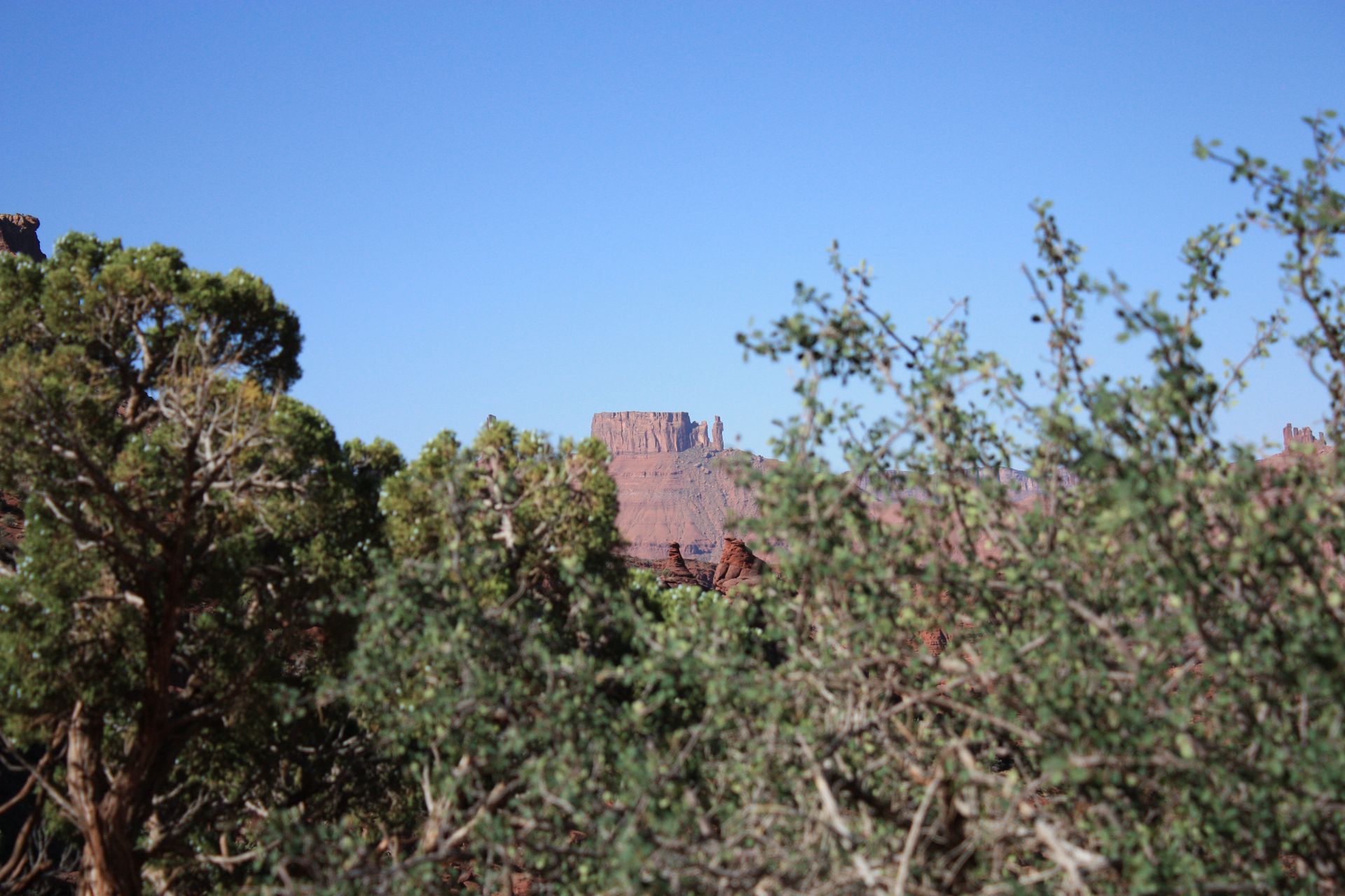 A castle is visible through the trees in the desert.