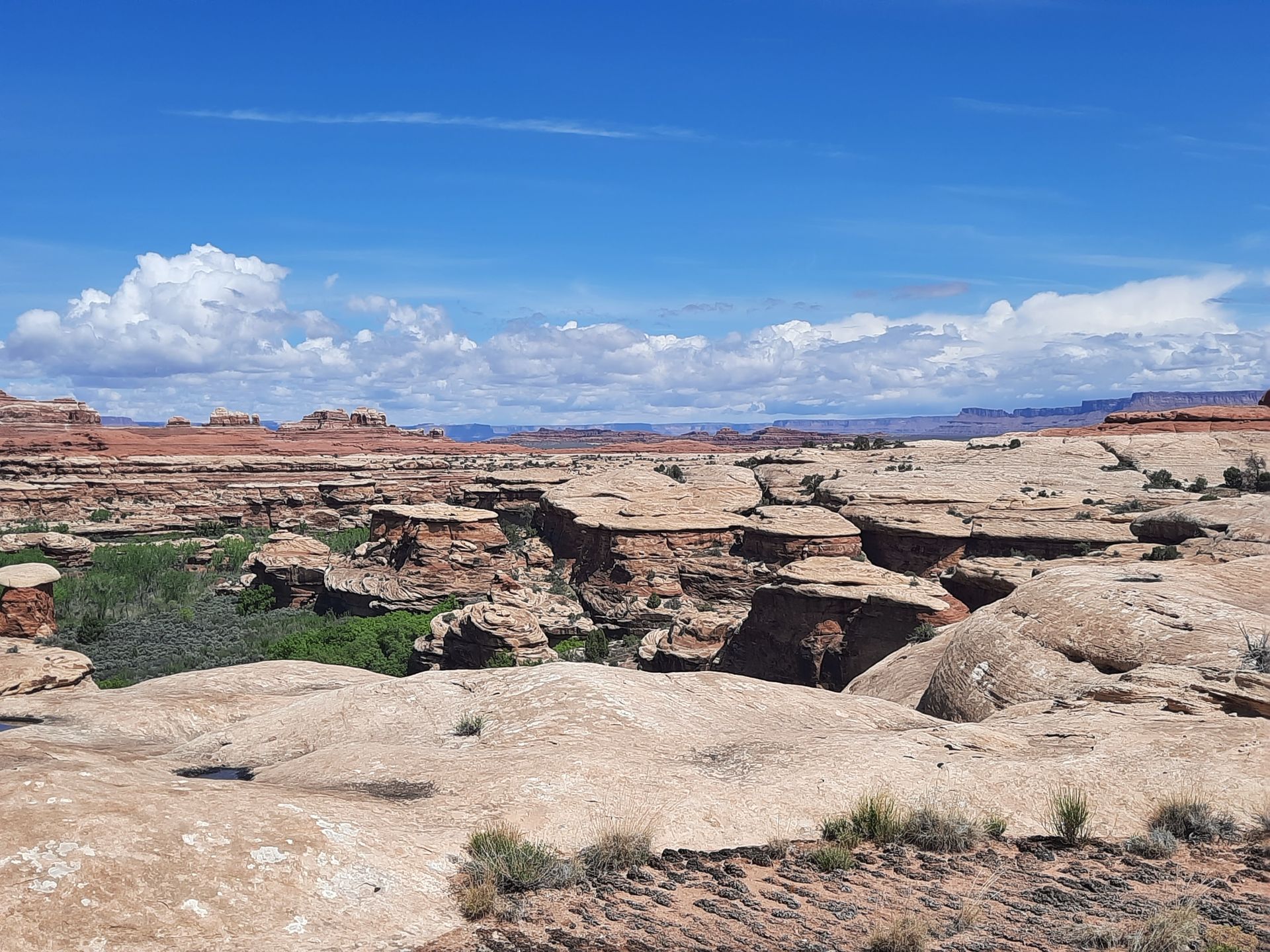 A desert landscape with mountains in the background and a blue sky