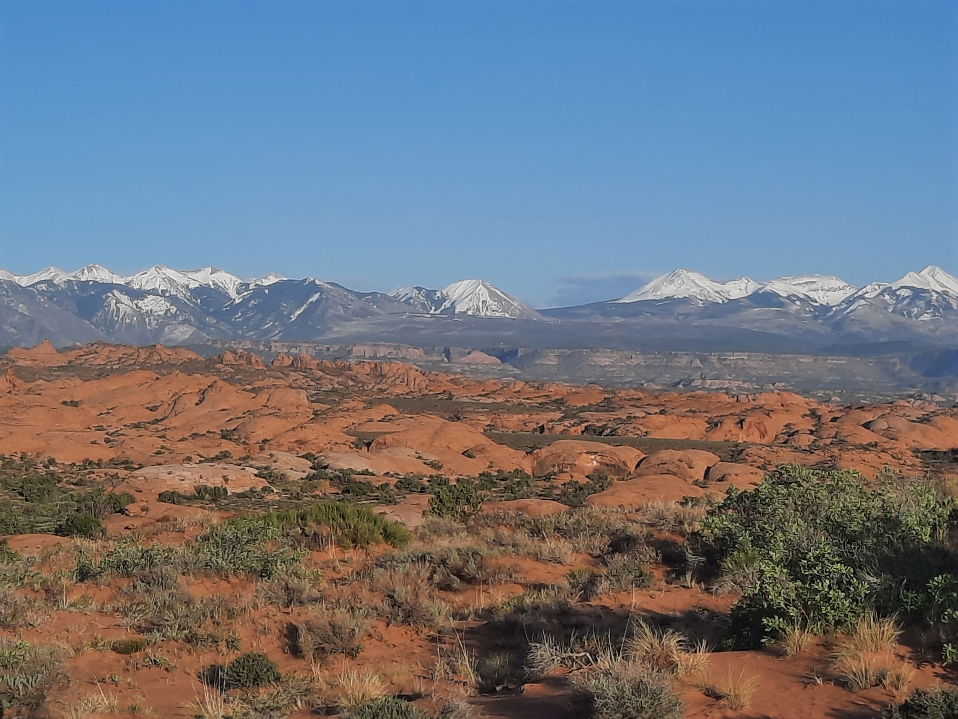 A desert landscape with mountains in the background