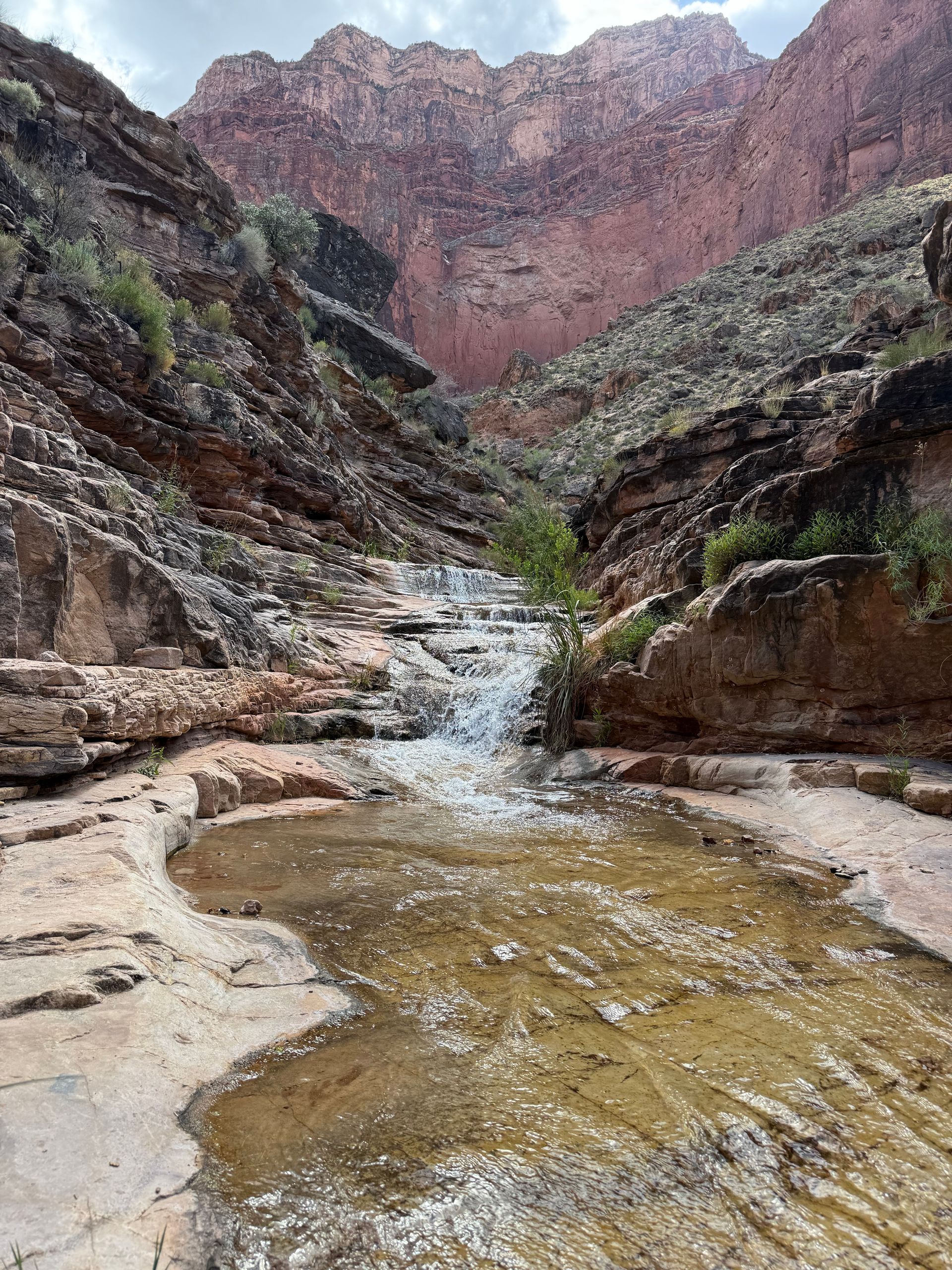 A shallow stream flows through a canyon. Red and brown rock walls surround it.
