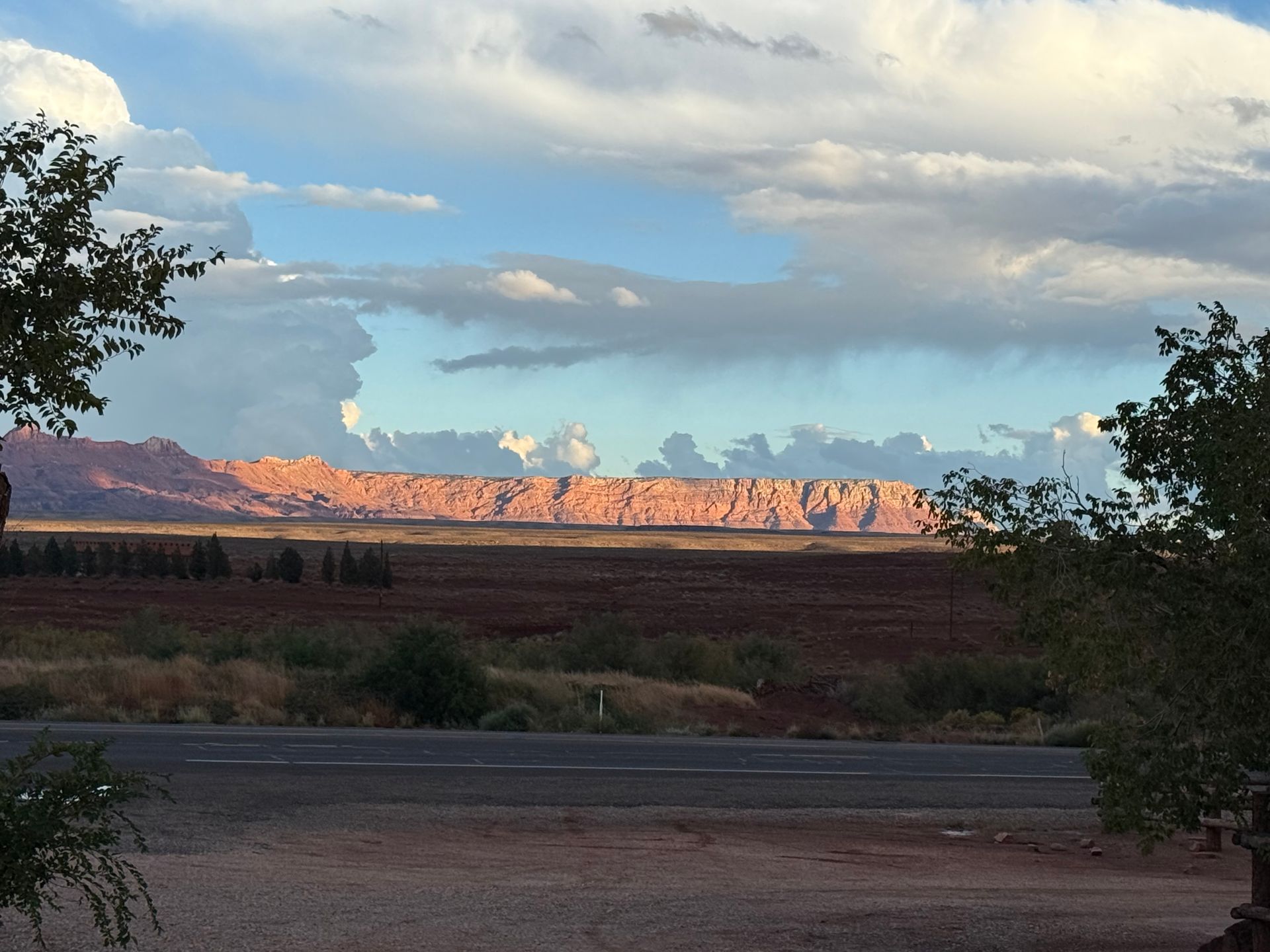 Red rock formations beneath a cloudy sky, framed by trees.