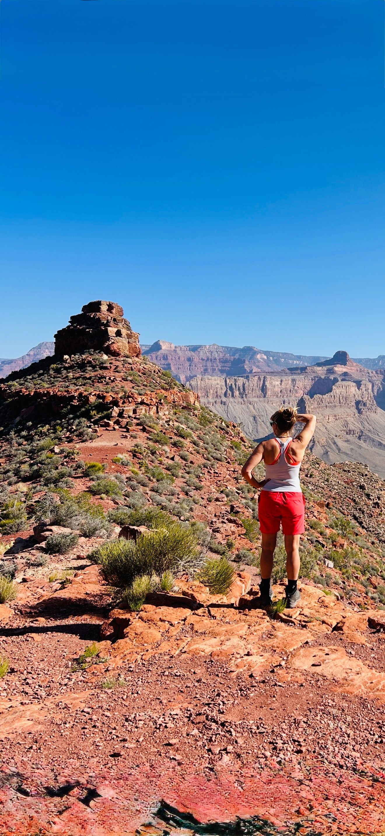 Person stands on a red rock formation, reaching toward the blue sky, overlooking a canyon.