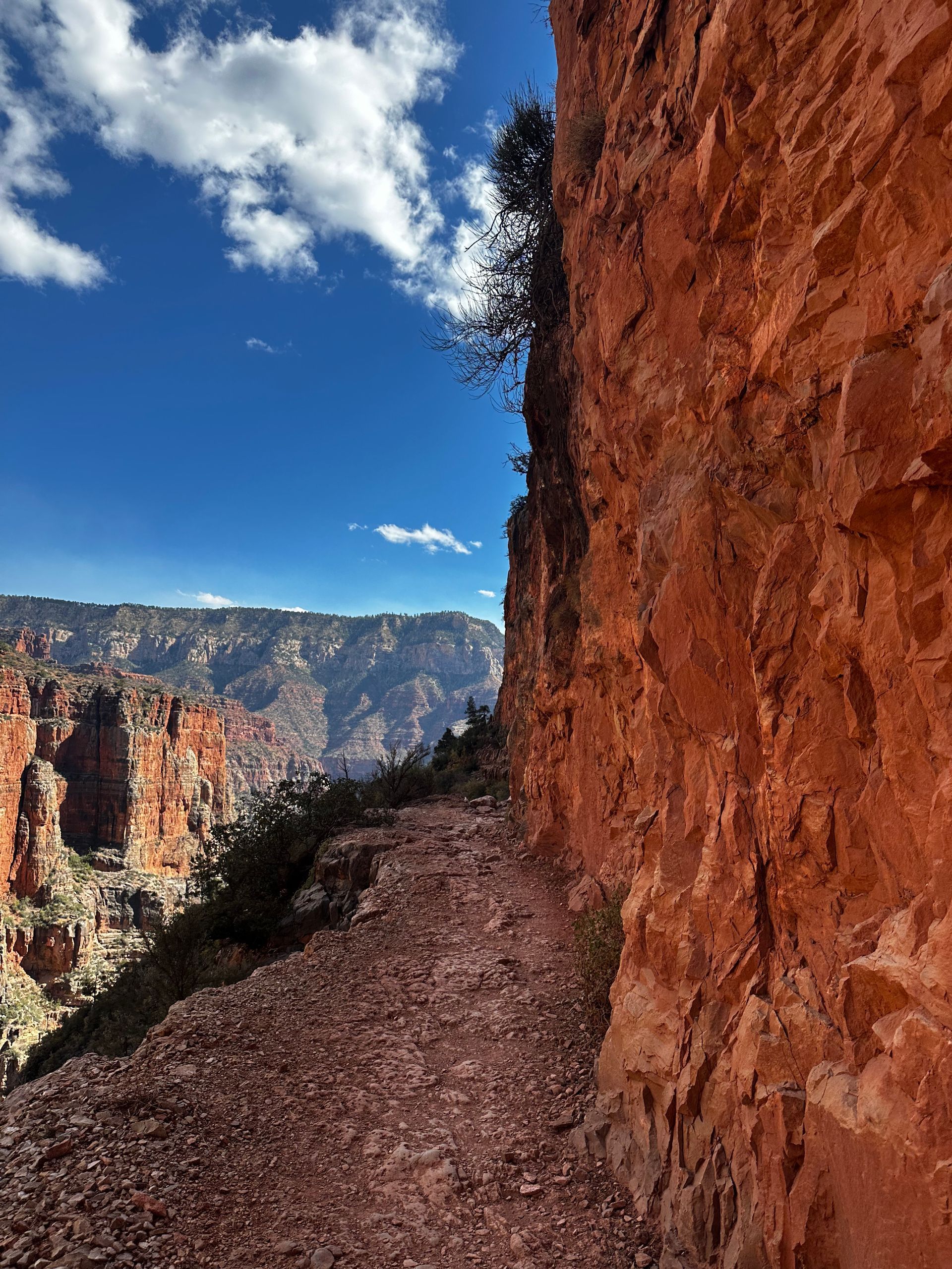 A dirt path going up a rocky hillside with mountains in the background.