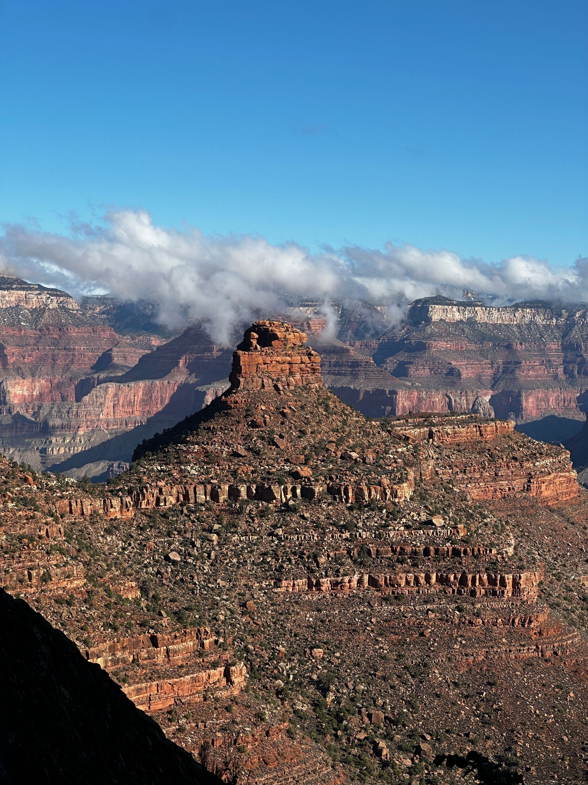 A view of the grand canyon with a mountain in the foreground