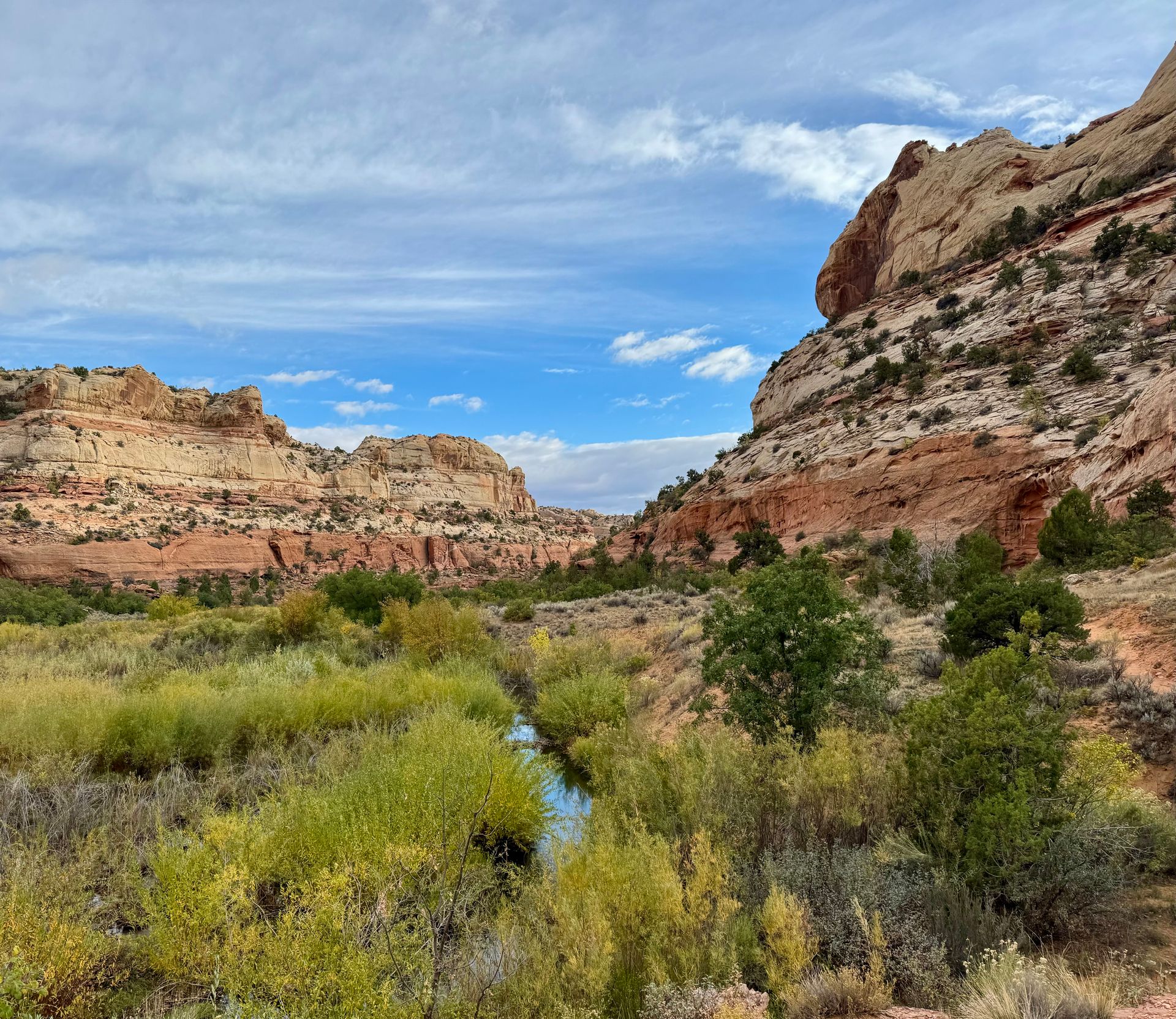 A river running through a canyon surrounded by mountains and trees.