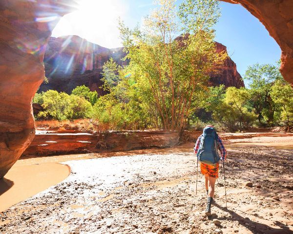 Hiker walking through a sunlit desert canyon with red rock walls and green trees
