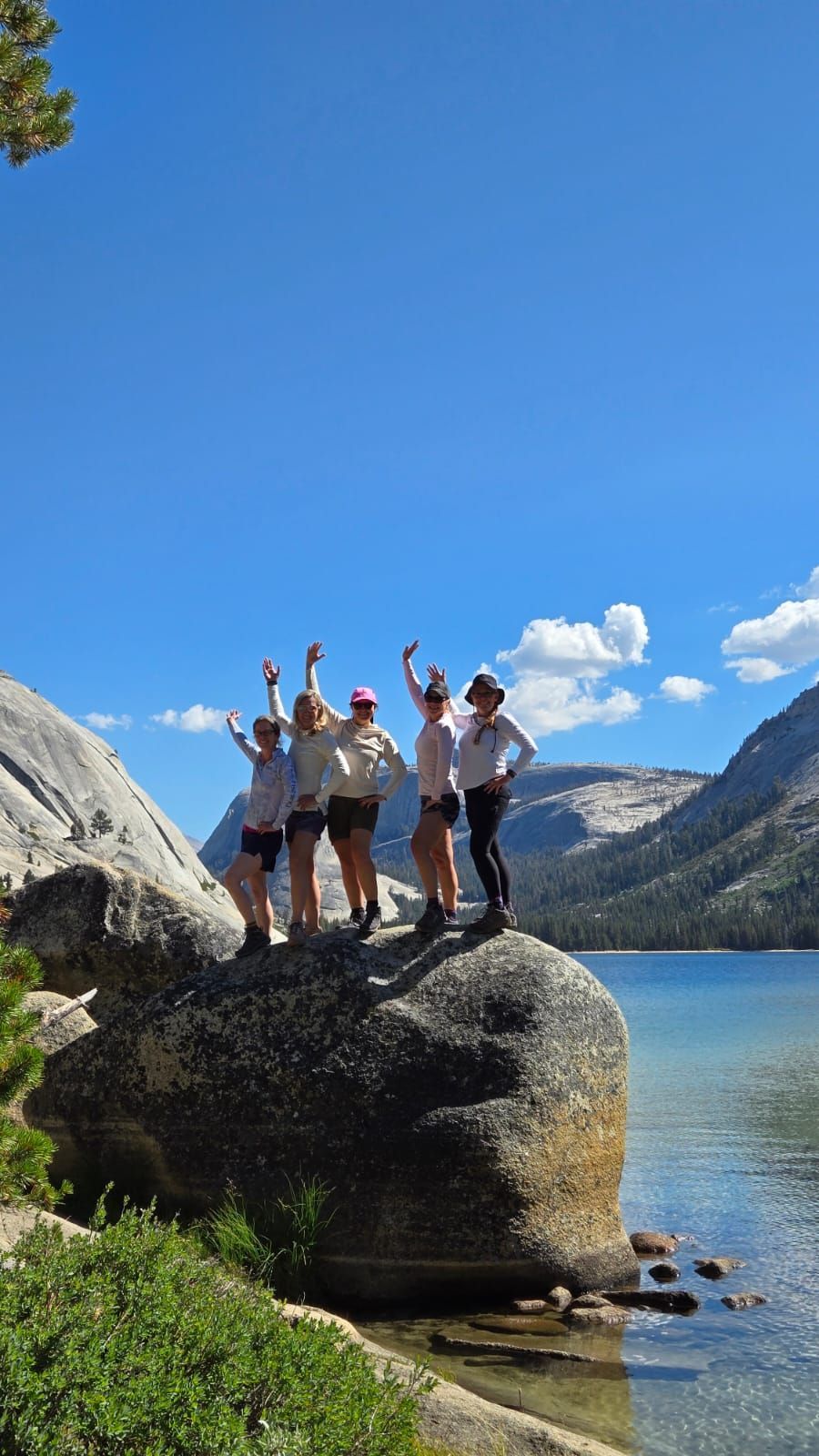 Five people stand on a large rock, arms raised. Lake and mountains in the background under a blue sky.