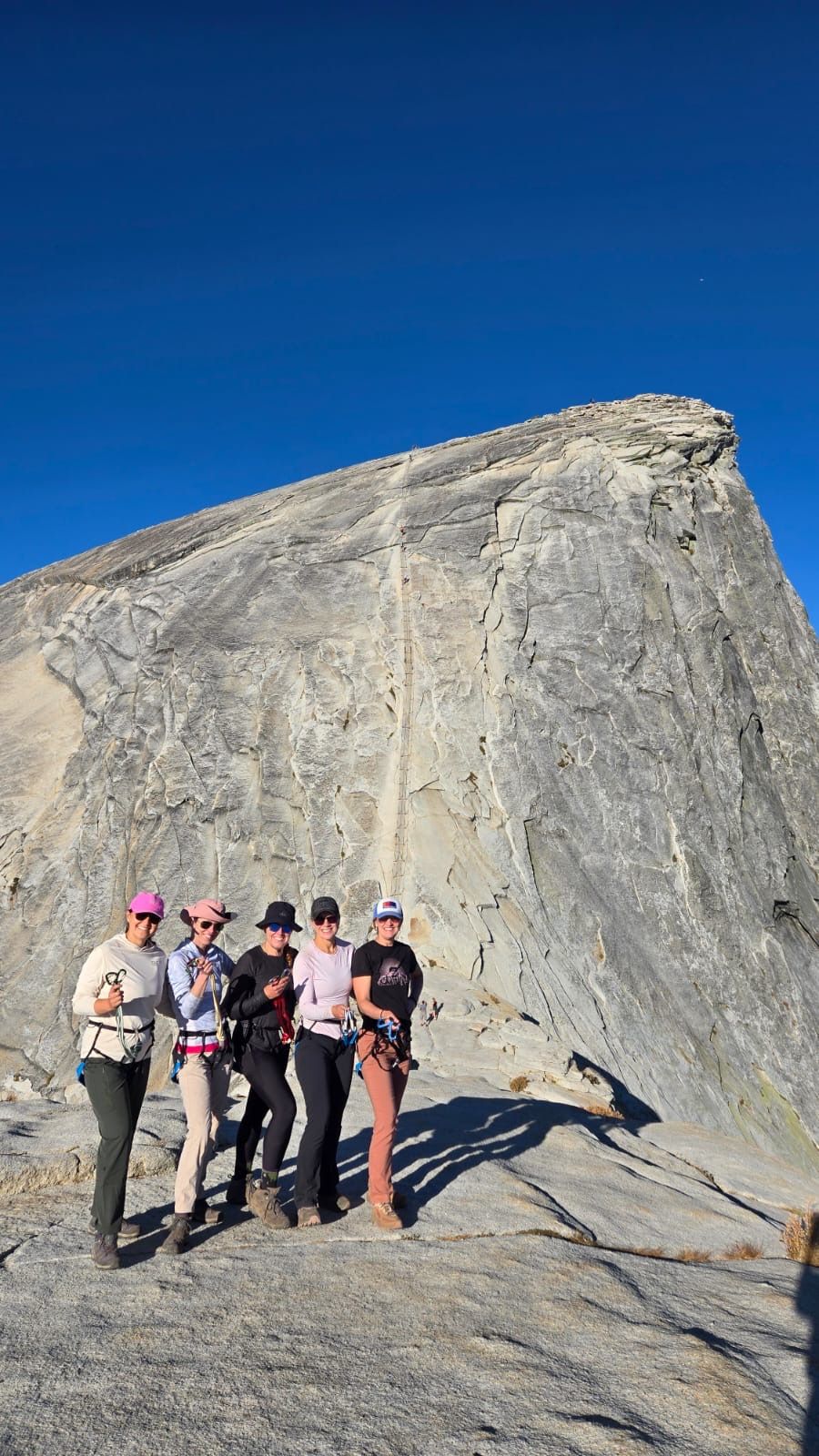 Five people stand on a rocky peak, with a steep rock face behind them. Clear, blue sky.