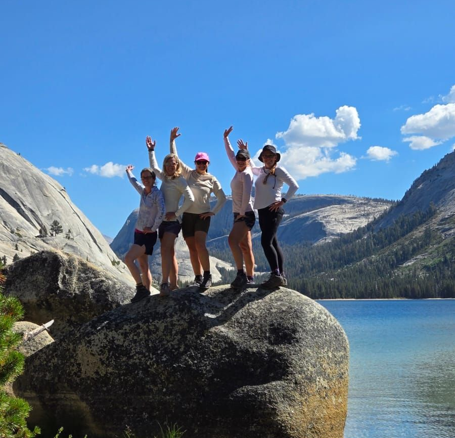 Five people stand on a large rock, arms raised, near a lake under a blue sky.