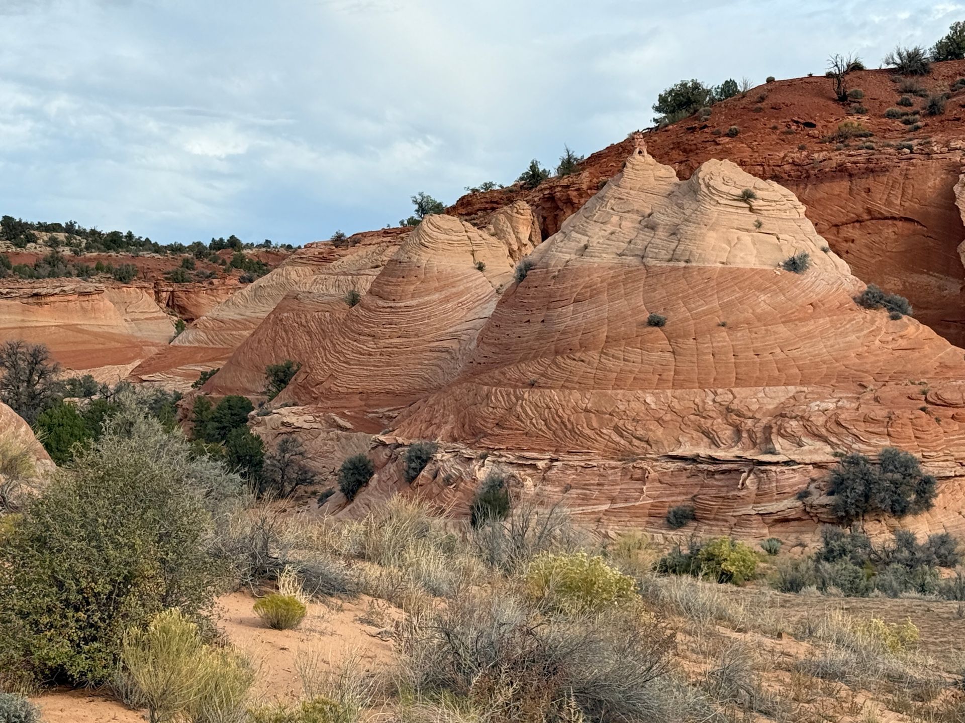 Red and tan layered rock formations in a desert landscape with scrub vegetation under a cloudy sky.