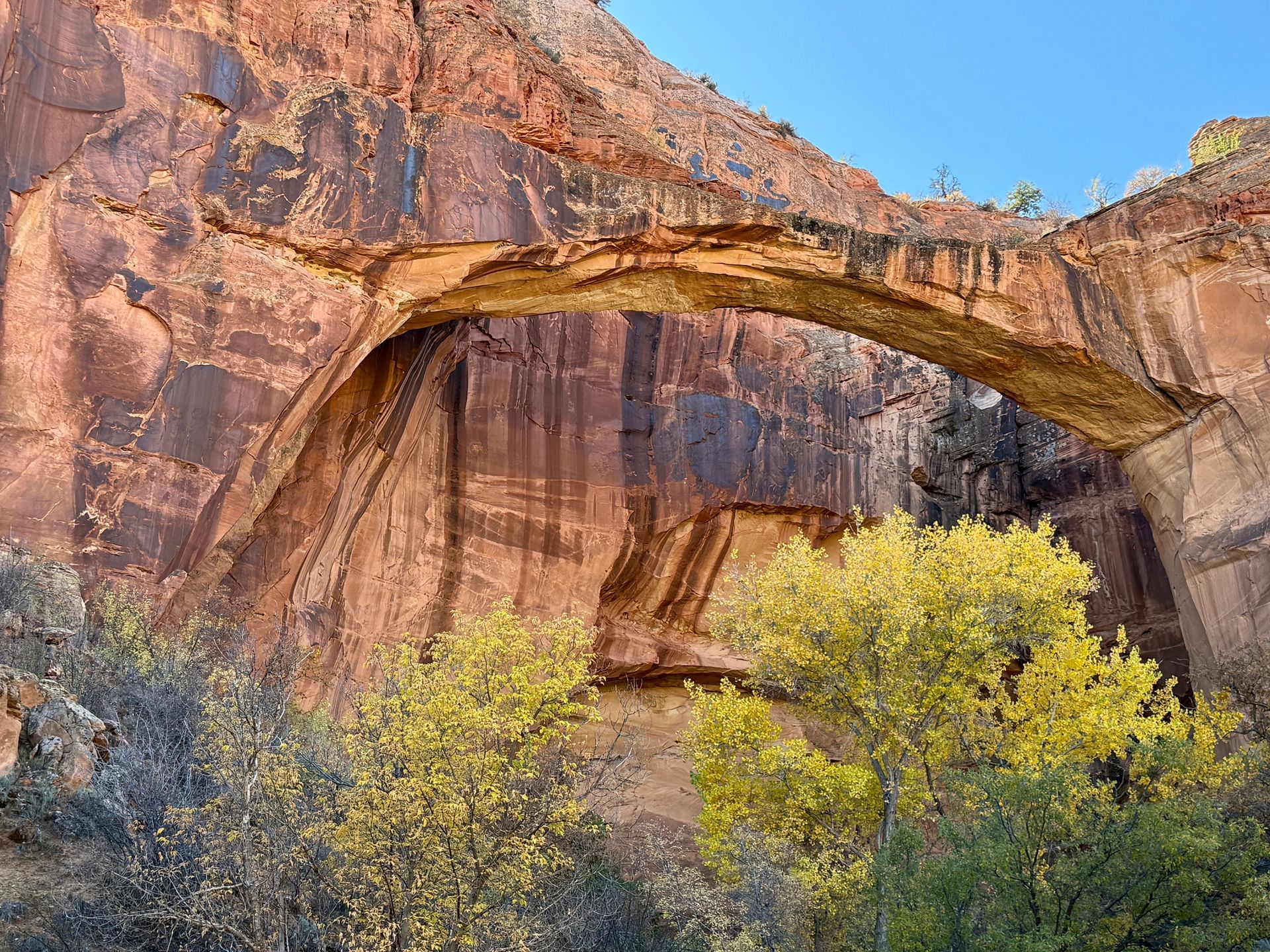 Natural stone arch with reddish-brown rock formations, yellow-green foliage below, against a blue sky.