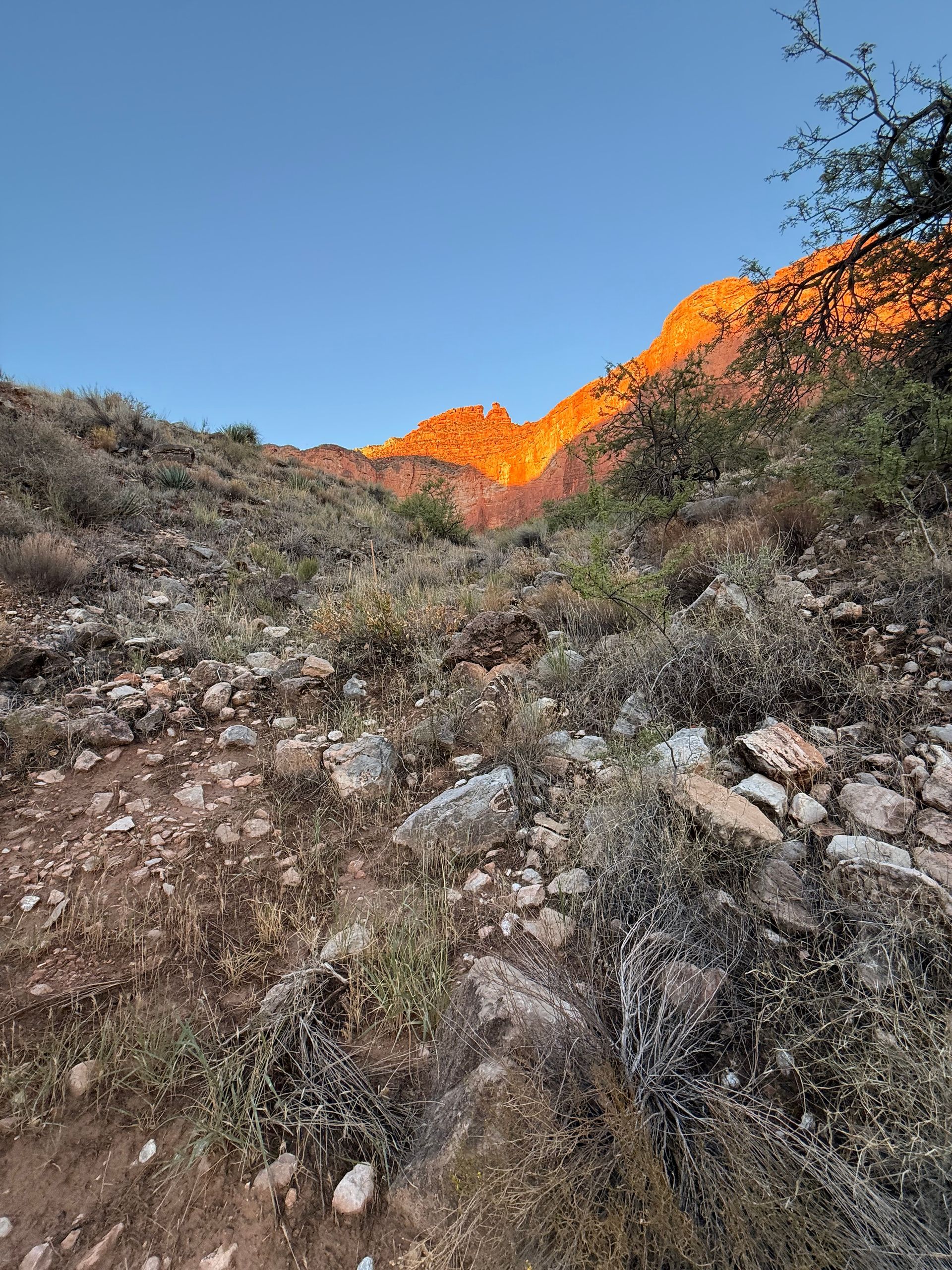 Sunlit mountain peak over a rocky, brush-covered slope under a clear blue sky.