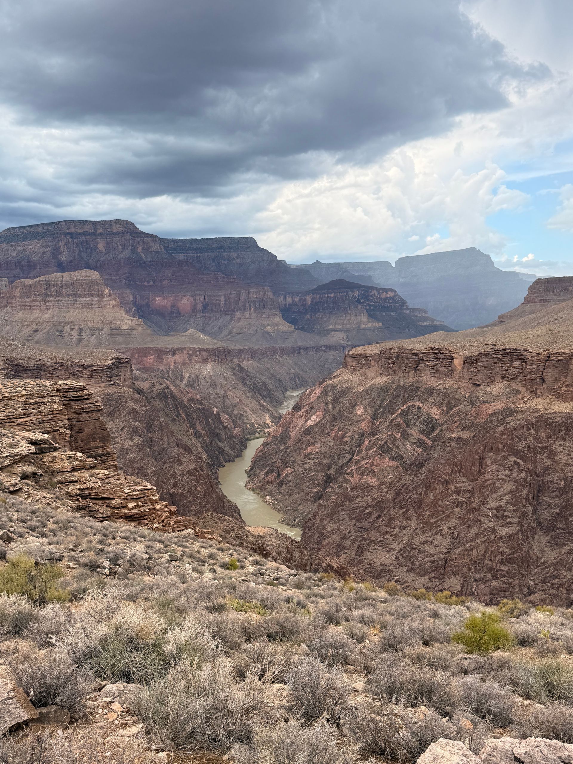 Canyon vista with brown cliffs, a river, and overcast sky. Scrub brush in the foreground.