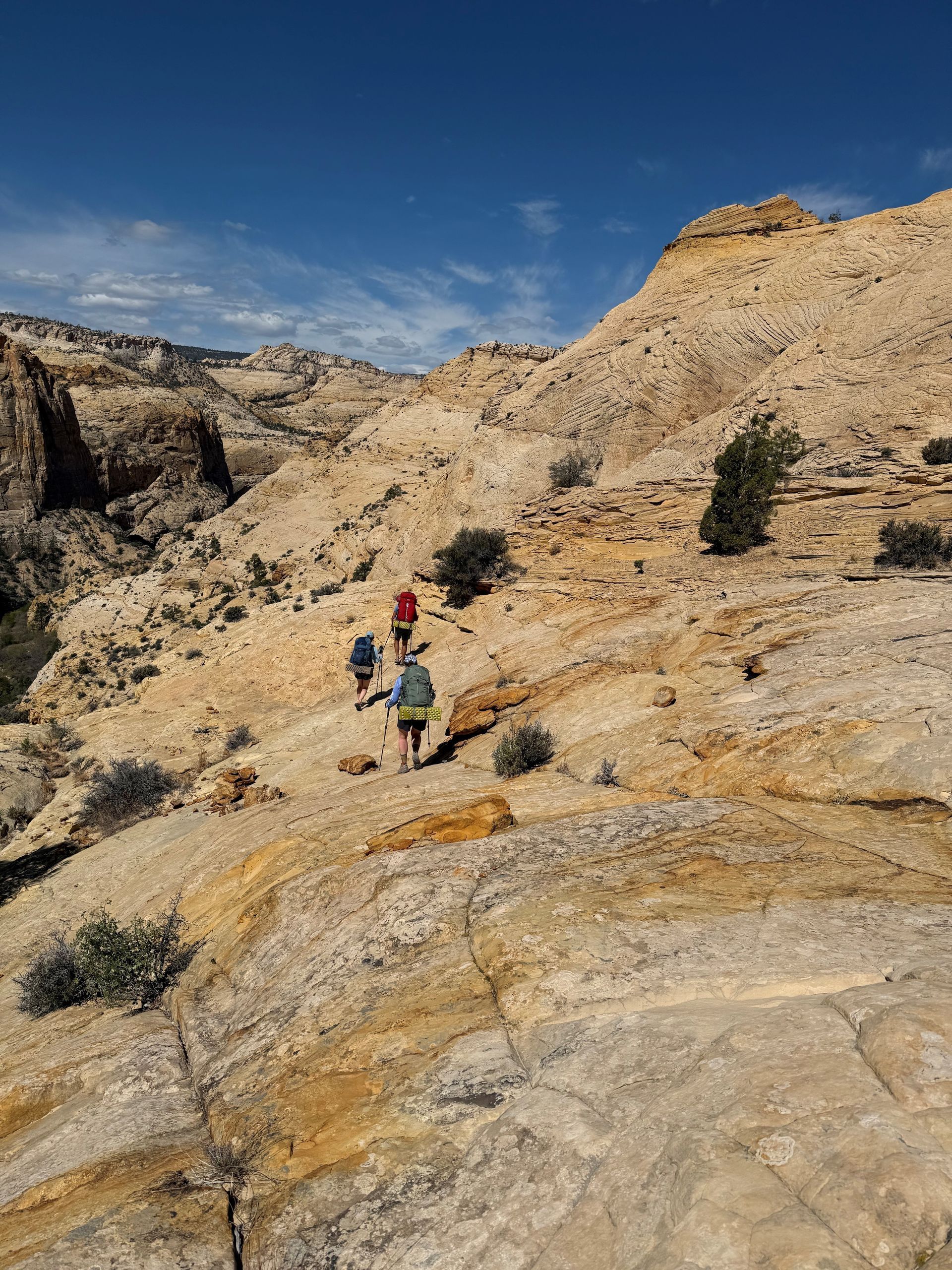 Hikers ascend a rocky desert trail under a blue sky.