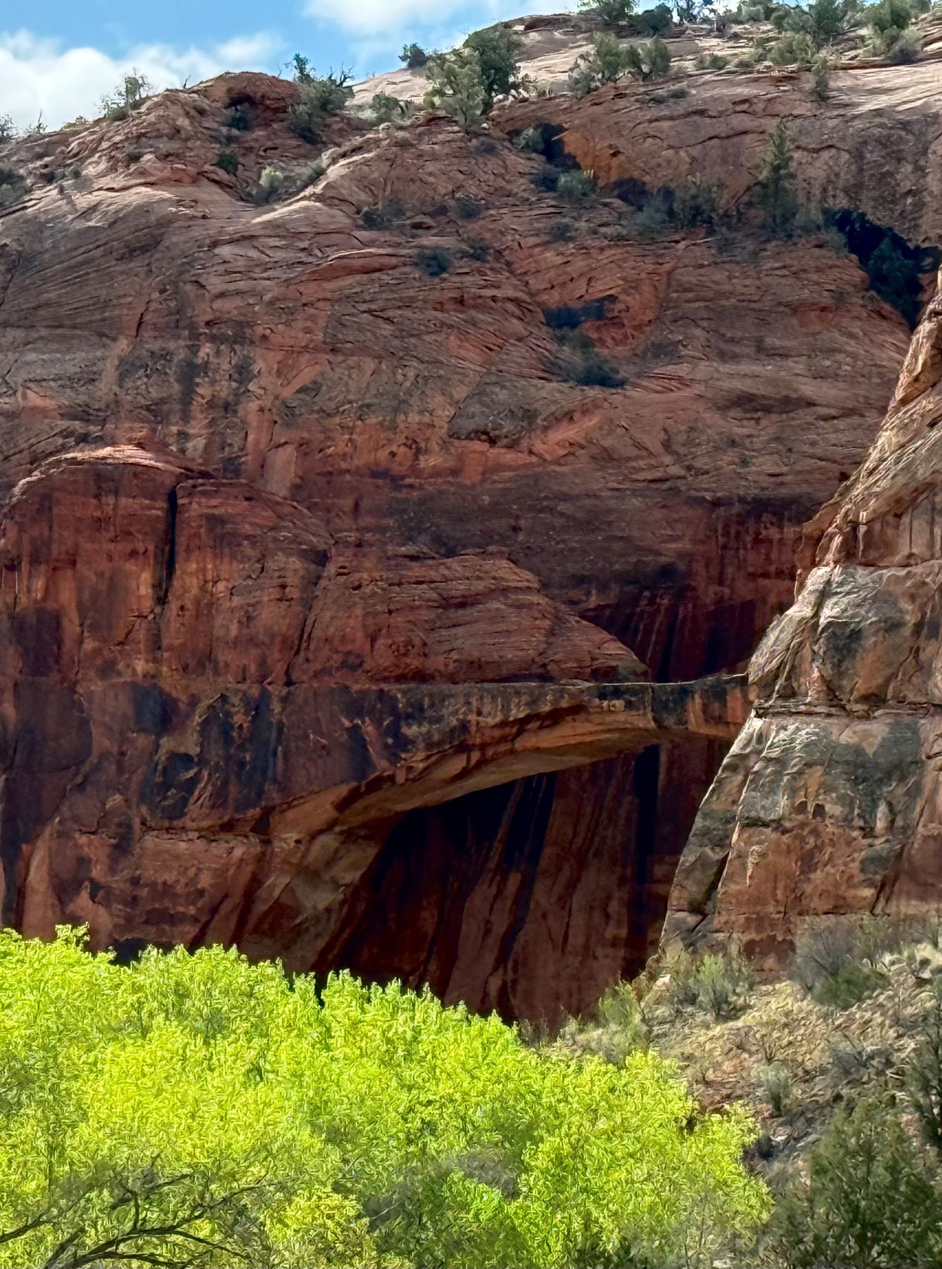 Red rock archway over green trees, with blue sky backdrop.