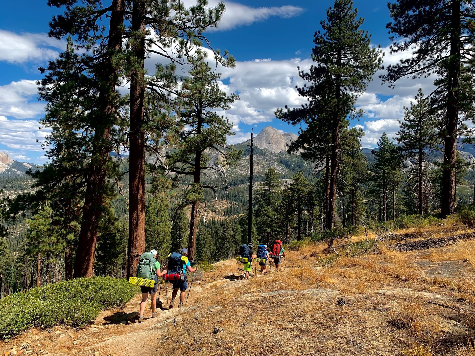 A group of people are hiking down a trail in the woods.