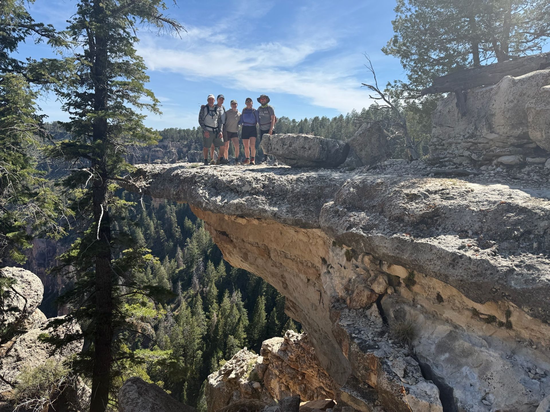 Group of people standing on a rock ledge overlooking a canyon with trees. Blue sky.