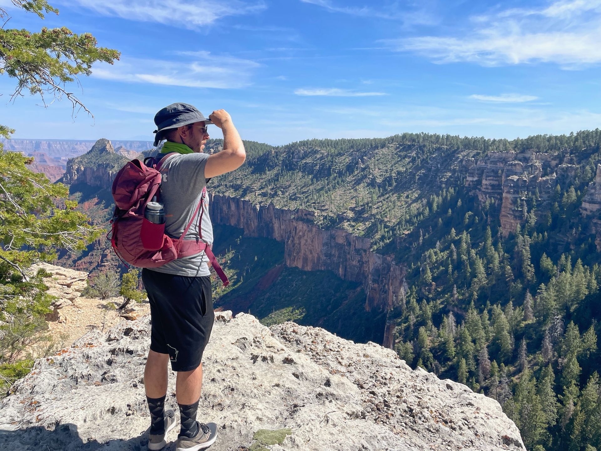 Hiker on a cliff overlooking a canyon. He shields eyes, wearing a backpack, hat, and shorts. Green trees and blue sky.